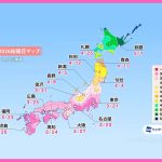 2026 Cherry Blossom Forecast