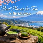 Shizuoka Tea Places