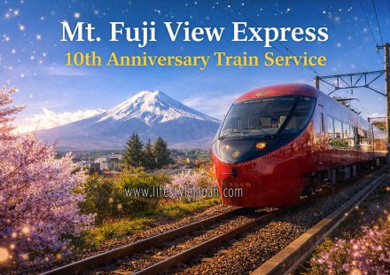Mount Fuji View Express Train Service